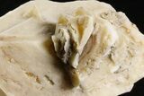 Sharp Calcite Pseudomorph after Glauberite - Camp Verde, Arizona #354435-1